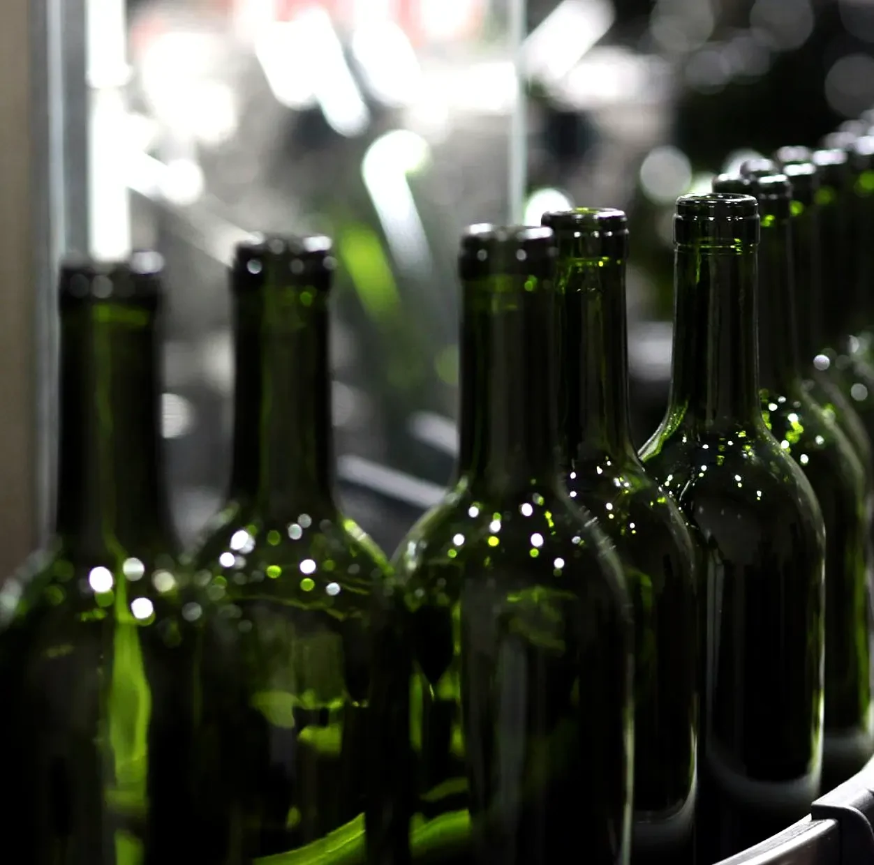 Botellas de vino en el proceso de producción